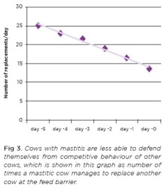 Cows with mastitis are less able to defend themselves