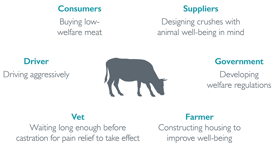 Changing vet and farmer behaviour to improve cattle well being | Farm  Animal Well Being